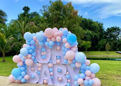 Gender Reveal Party