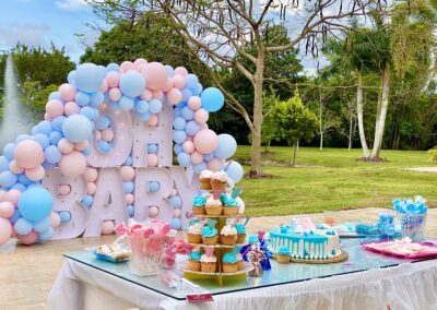 Gender Reveal Party