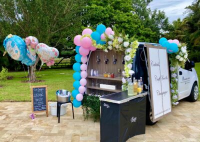 Gender Reveal Party