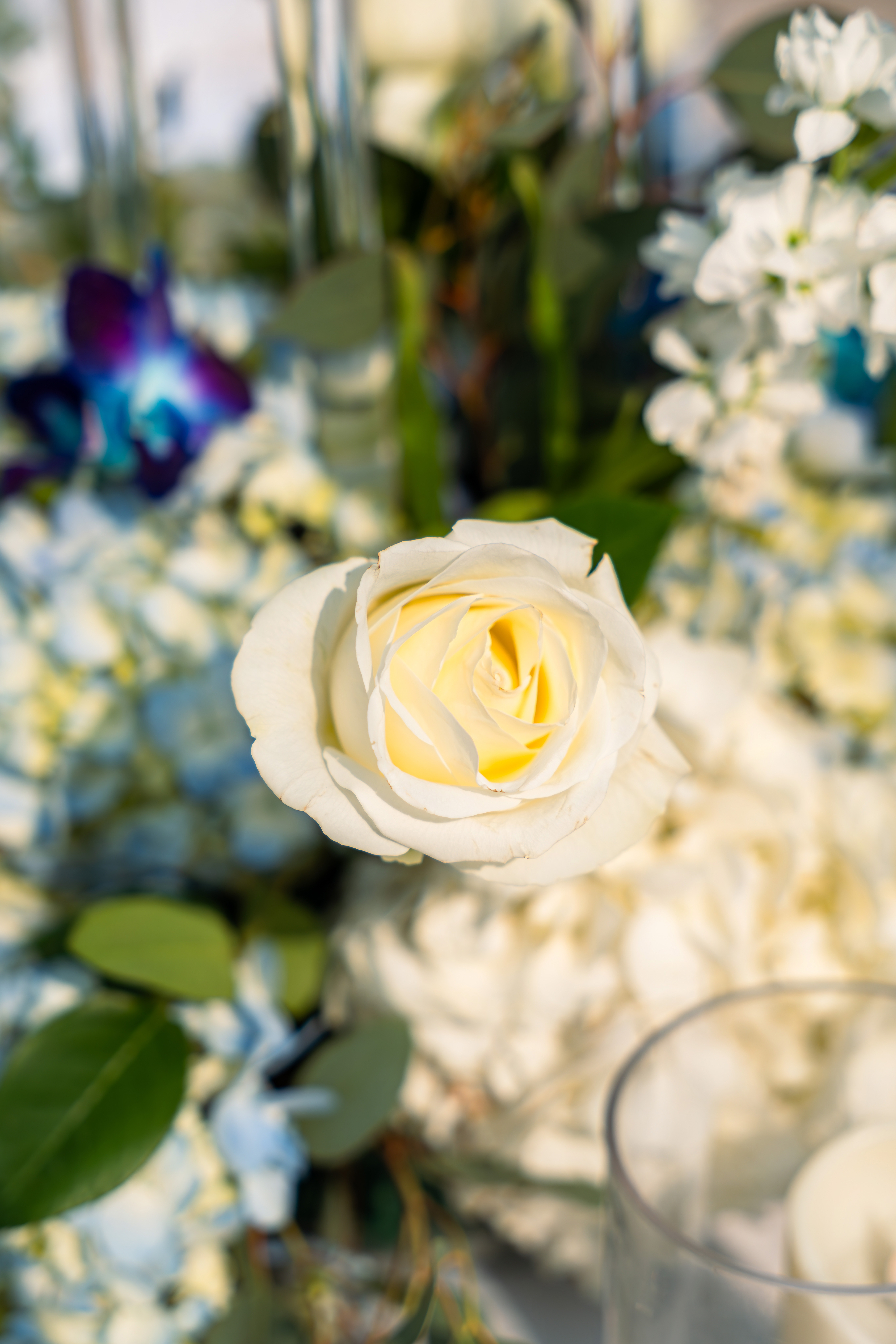Close-up white rose surrounded by soft blue and white florals at an outdoor wedding at Saint Patrick Palace.