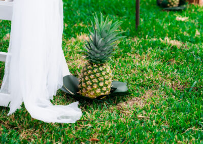 Pineapple aisle décor for outdoor spring wedding in Davie, Florida