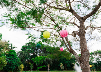 Colorful paper lanterns hanging from a tree at outdoor wedding