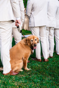 Golden retriever sitting beside the groomsmen during the outdoor ceremony at Saint Patrick Palace.