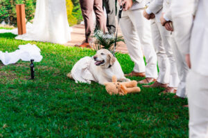 Dog in a flower girl dress lying on the grass with a teddy bear at an outdoor ceremony.