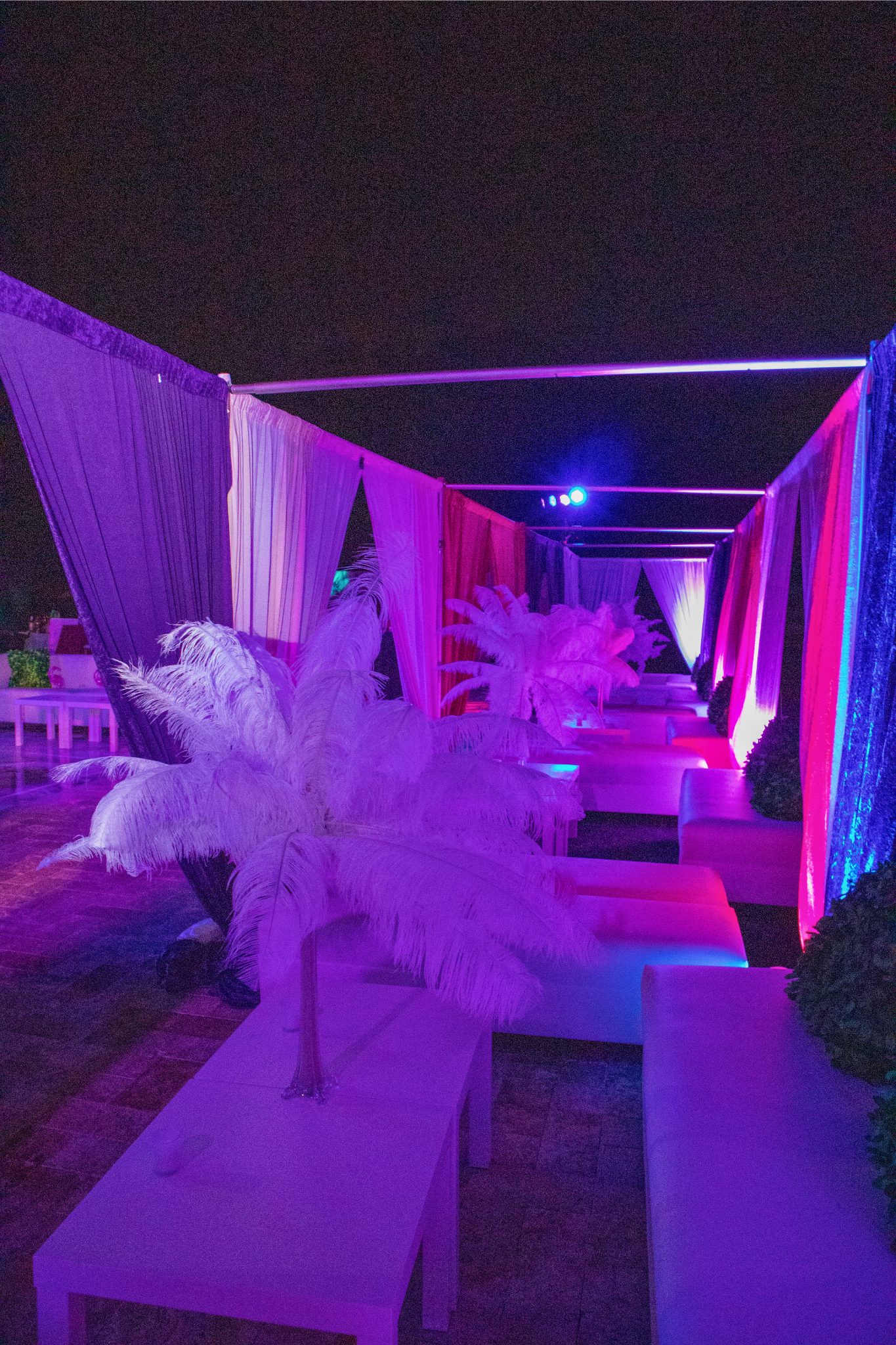 Luxury lounge setup with LED lighting and feather centerpieces for birthday celebrations.