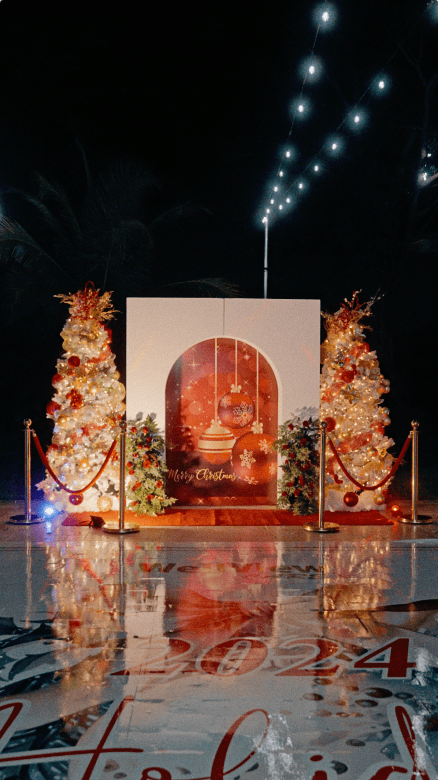 Outdoor Christmas photo backdrop with illuminated trees, red velvet ropes, and holiday decorations.