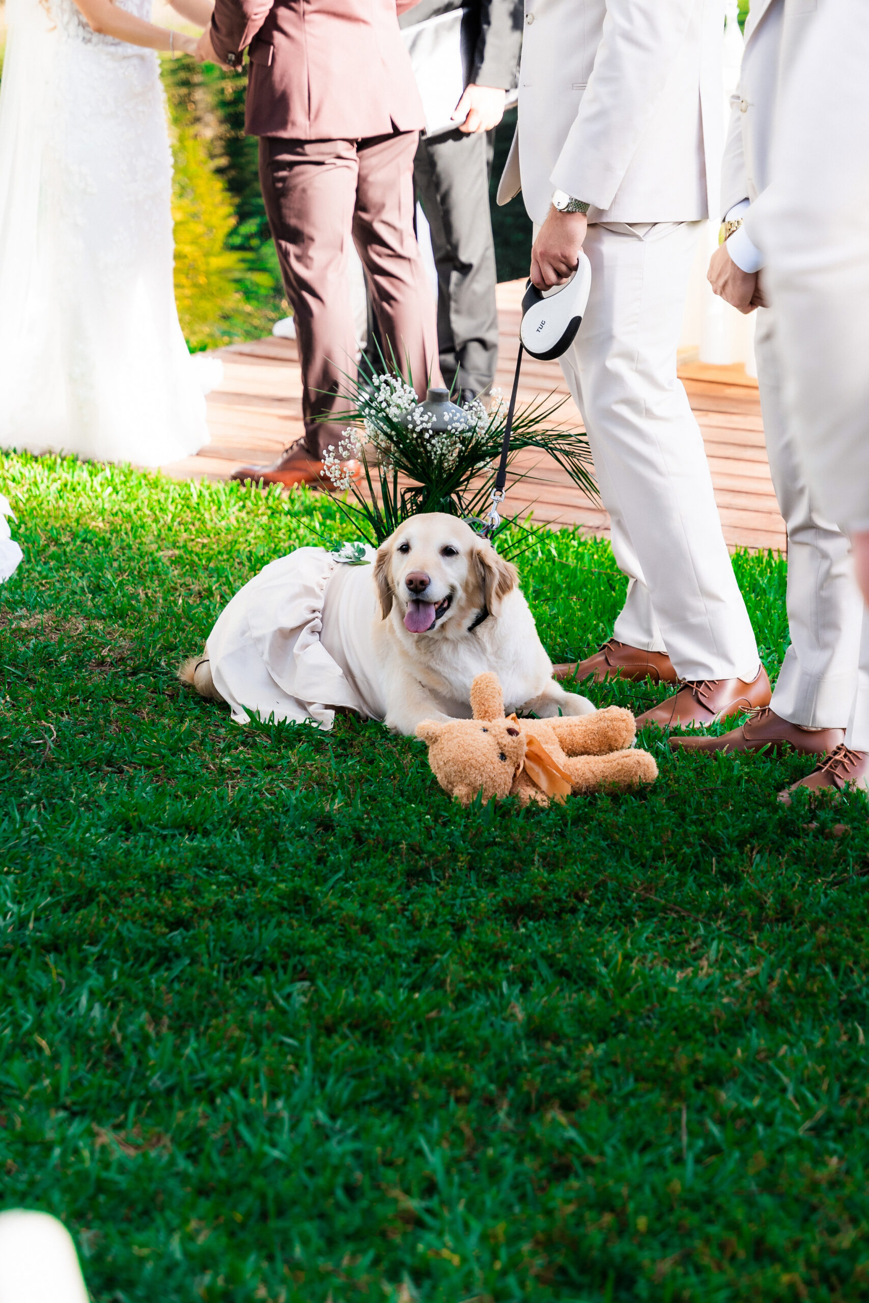 Dog dressed for the wedding at Airbnb wedding venue South Florida | Saint Patrick Palace.