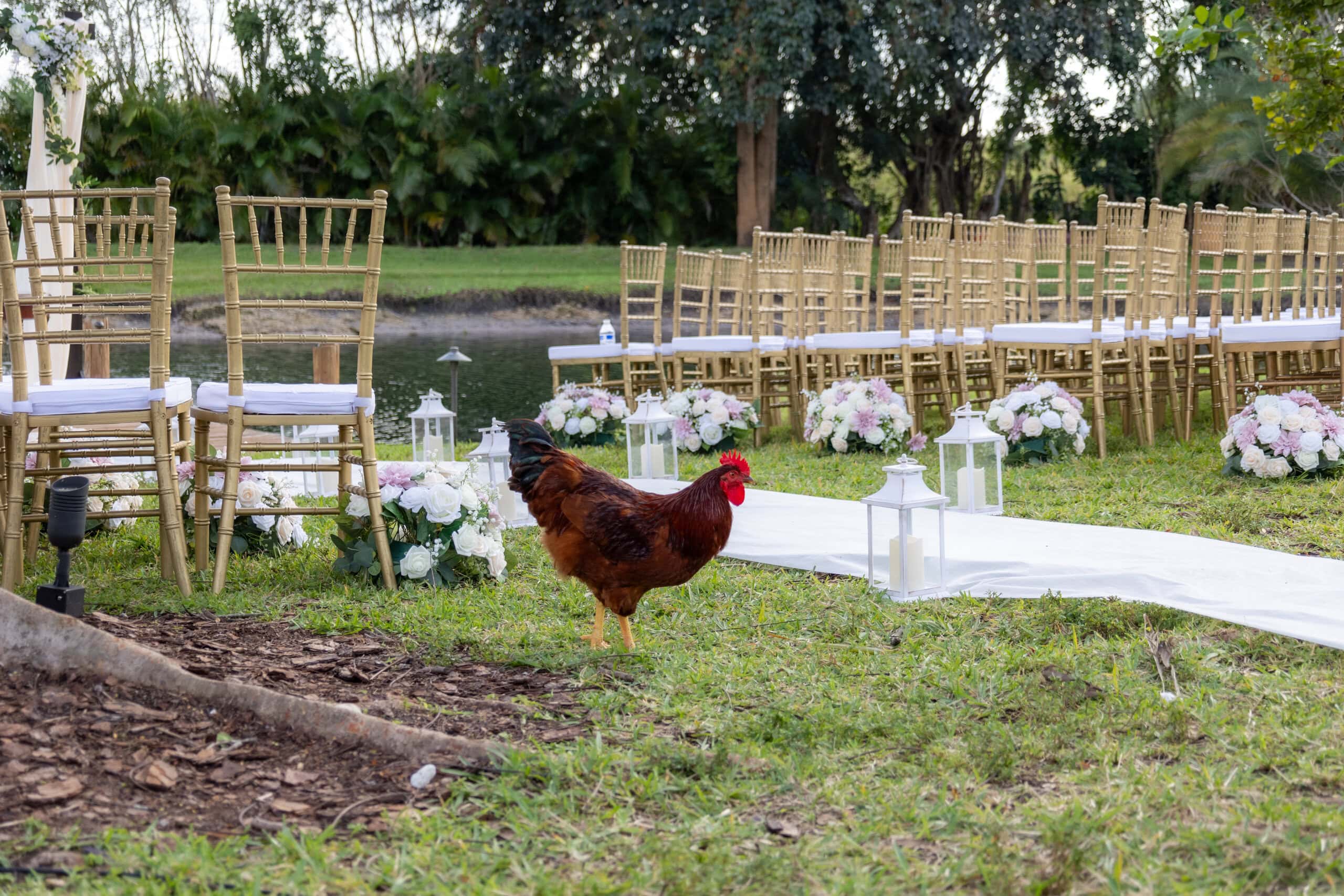Waterside wedding ceremony setup with chairs and florals at private estate in Davie Florida