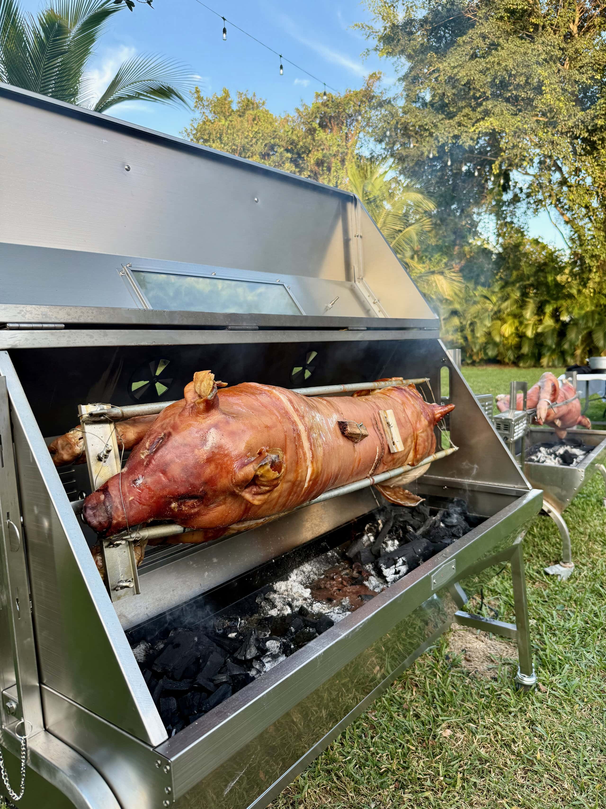 Whole hog roasting over charcoal at outdoor wedding reception